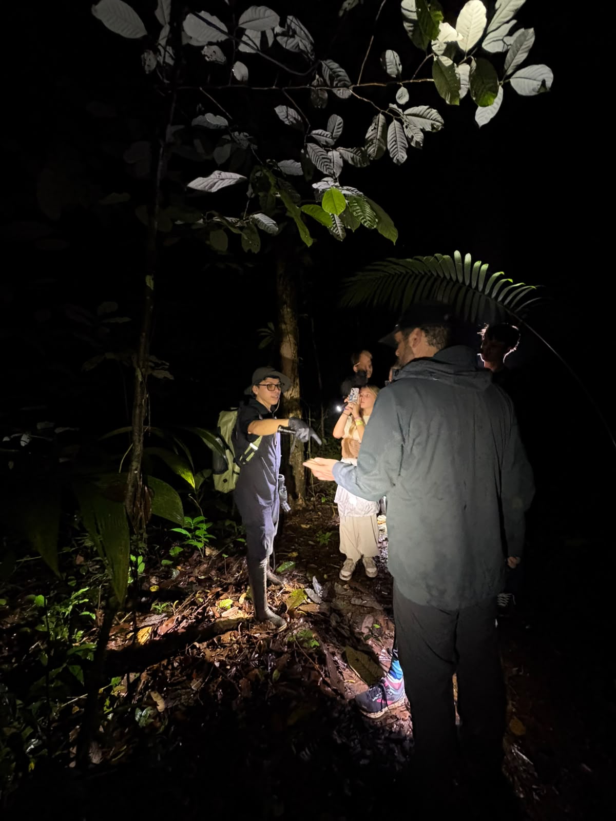 Persona caminando de noche por el bosque con una linterna